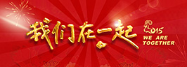 我們在一起——2015年度春節聯歡晚會