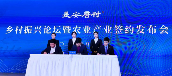 官網11.jpg
